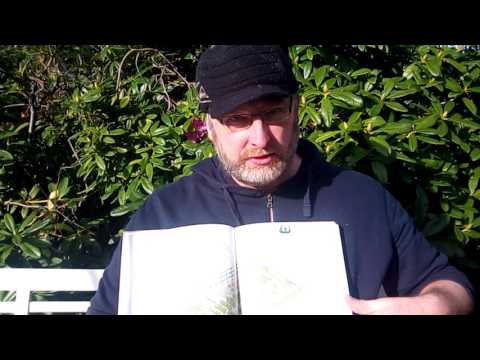 Review of John
