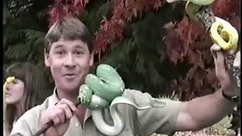 Steve and Terri Irwin with Green Tree Pythons at Brad