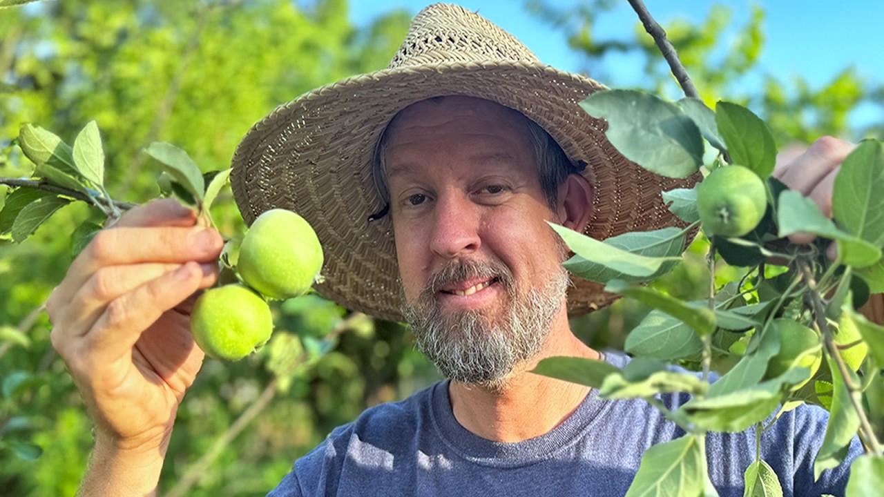 The Mystery Apple: Which is it? | The Survival Gardener