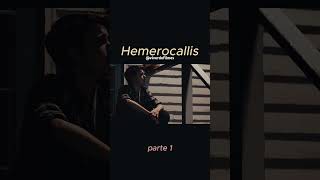 #cinema #filme #movie #movieclips #netflix #adorocinema #pipoca #pipocando #hemerocallis