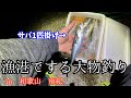 南紀の漁港で大物狙い！夜釣りをしてみた結果【ぶっ込み釣り】※説明をお読みください