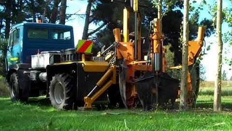 Treelocations - Moving A Tree - Video 1
