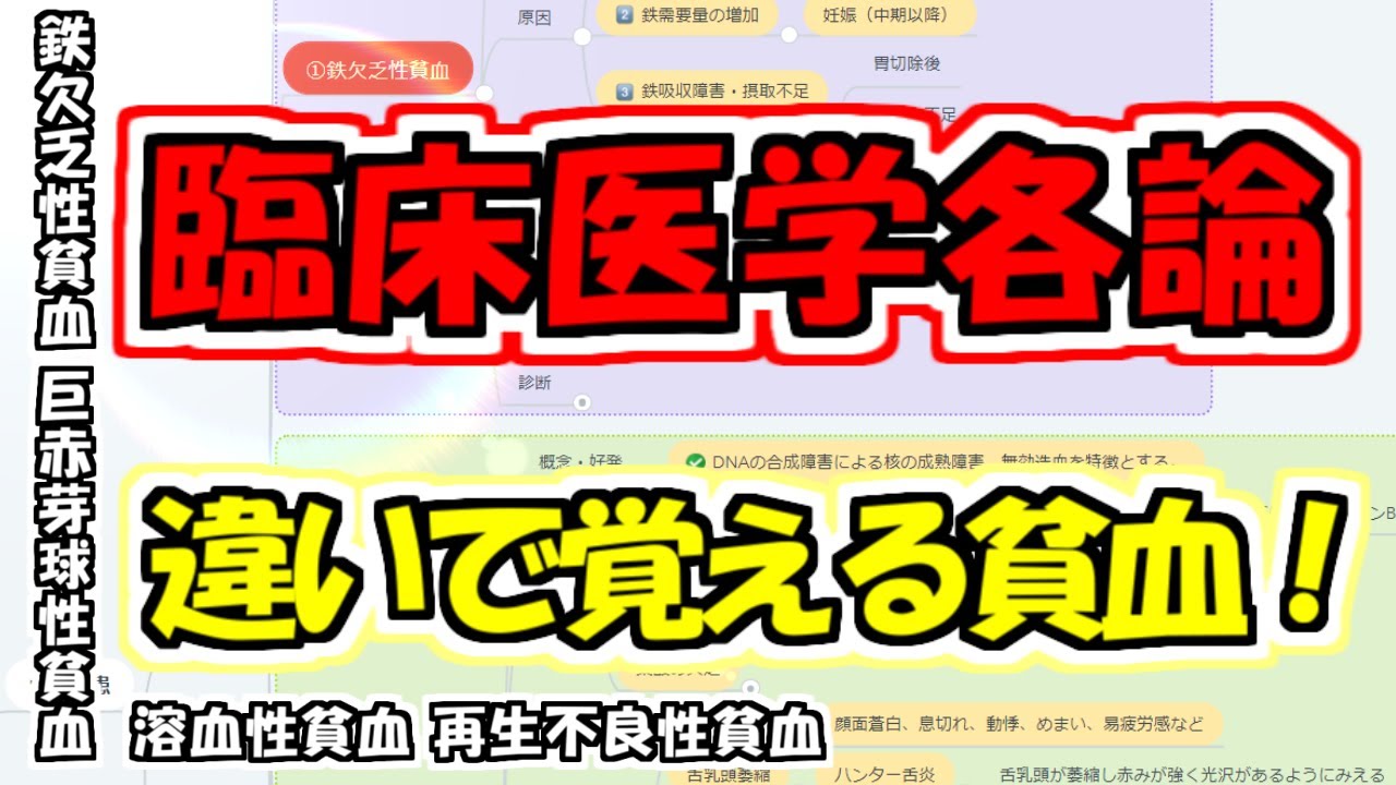 臨床医学各論【貧血】鉄欠乏性貧血 巨赤芽球性貧血 溶血性貧血 再生 