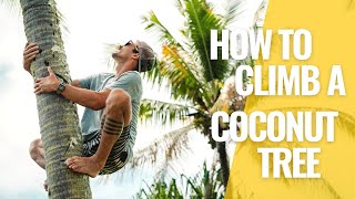 THE FARMSTEAD | How To Climb A Coconut Tree with (NO TOOLS) | Mini Episode BONUS VIDEO