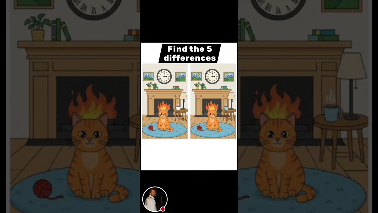 find the 5 differences