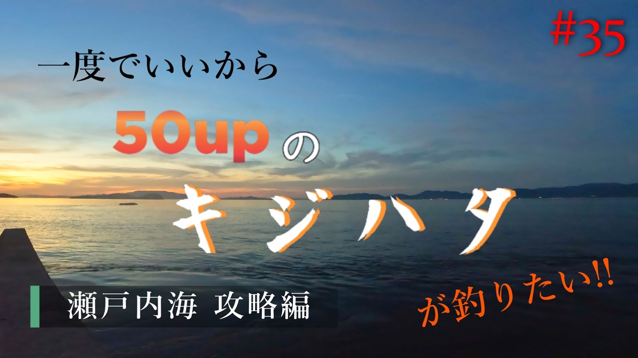 【香川の、激流 】一度でいいから50upのキジハタが釣りたい!!#35【ロックフィッシュ】