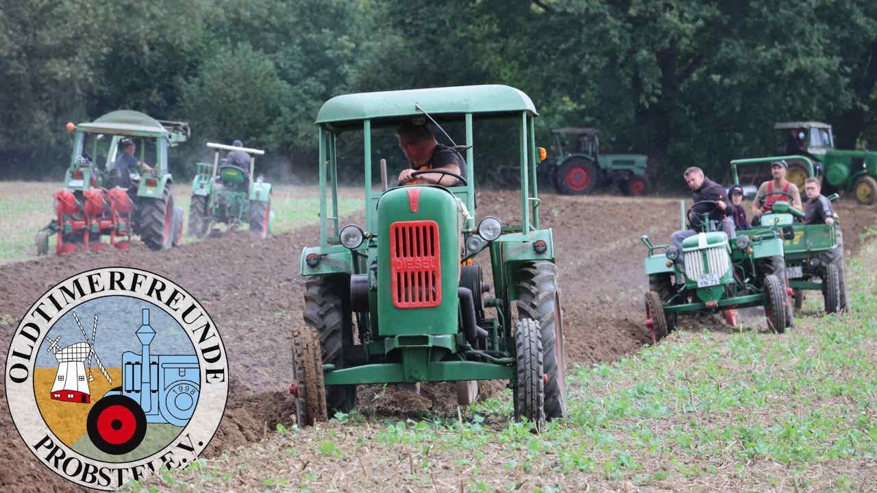 Pflügen mit Oldtimertraktoren 2025