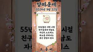 오늘의 양띠 운세 2024년 9월 22일 #양띠 #오늘의운세 #내일의운세 #운세 #운세쇼츠