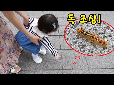 ㄷㄷ <strong>아기</strong> 예나 <strong>신발</strong> 신고 첫 외출했어요! 가족 일상 브이로그 뉴욕이랑 놀자