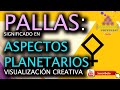 Asteroide pallas significado aspectos planetarios carta natal visualizacin creativa en astrologa