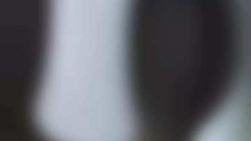 Dell APEX Cloud Platform pour Red Hat OpenShift : conçue pour votre avenir multicloud