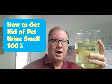 Videó: Hogyan lehet megszabadulni a Tom Cat Spray szagától