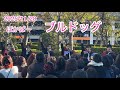 2025/11/28 ぽかぱー SHOW-WA ブルドッグ