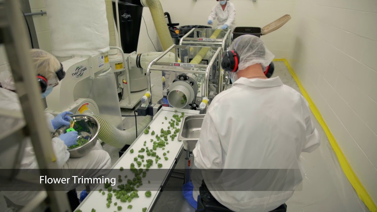 Maricann Unternehmensvideo Langton, Kanada