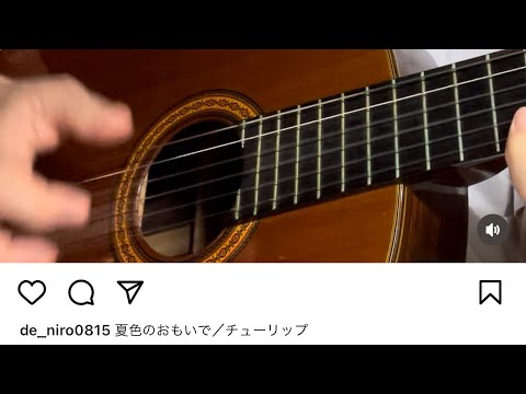 夏色のおもいで／チューリップ