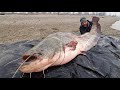 LA PESCA DEL SILURO GIGANTE D'INVERNO con IL FIREBALL - 4K by YURI GRISENDI