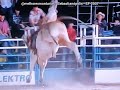  claudinei de brito vila boas x suco  rodeio de sebastianpolis 2007 rodeio rodeo