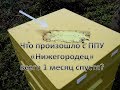 Что случилось с ППУ 1 месяц спустя - ультрафиолет, влажность, прочность