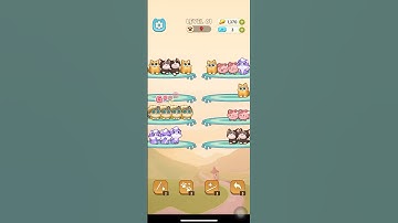 Color Cat Sort Cute Cat Game Level 61 #shorts #shortsfeed #cat #gaming