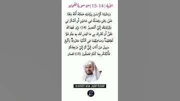 الآية (14-15)من سورة لقمان//القارئ الشيخ سعد الغامدي