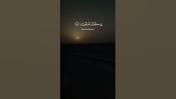 "قل لمن الارض ومن فيها" #قرآن #اكسبلور #راحة_نفسية #تلاوة_هادئة