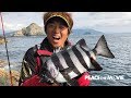 PEACE THE MOVIE #63「笑い絶えない磯釣り五目」四国地方・愛媛県愛南町中泊の旅(後編)/平和卓也(889)