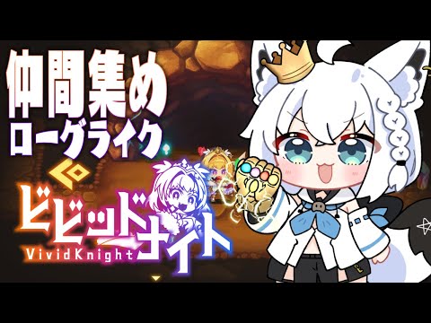 【ビビッドナイト /Vivid Knight】ガチャ運を高めよ！！！カワイイ＆カッコイイキャラに出会いたい！【ホロライブ/白上フブキ】