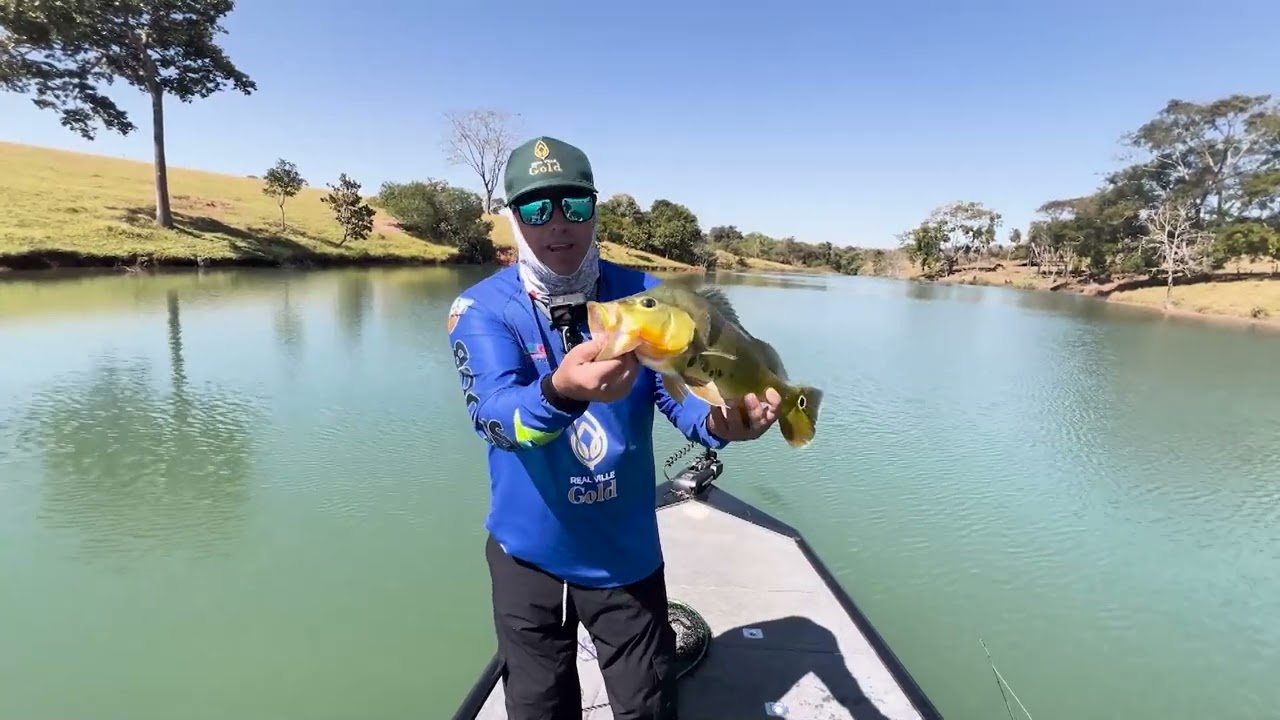 pescaria de tucunarés amarelos no lago corumbá 4.