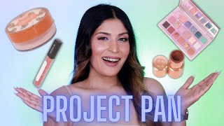 Project Pan Update #5 | Exciting Updates! | Shreya Jain