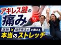 【整形外科医が警告】アキレス腱の痛み、その"踵落とし"が悪化させてます|理学療法士が教える本当のストレッチ