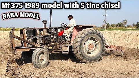 Mf 375 oldest model 1989 with 5 tine Chisel cultivator - Extremely powerful performance💪💪