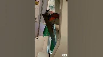 lentil color sorting machine