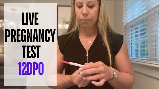 12 DPO Pregnancy Test - IUI Cycle