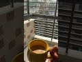#tea #viral #love #video #shorts #fyp #shortvideo #subscribe