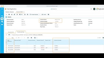 Customer Identification Agent | Automate Cash Application with HighRadius