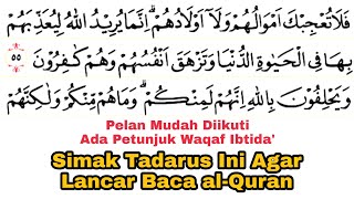 Tadarus Surat at-Taubah Ayat 55-72 Ada Tanda Warna Panjang & Dengung Agar Lancar Baca al-Quran