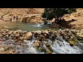 دموع الأغوار الحبيسة عين العوجا 