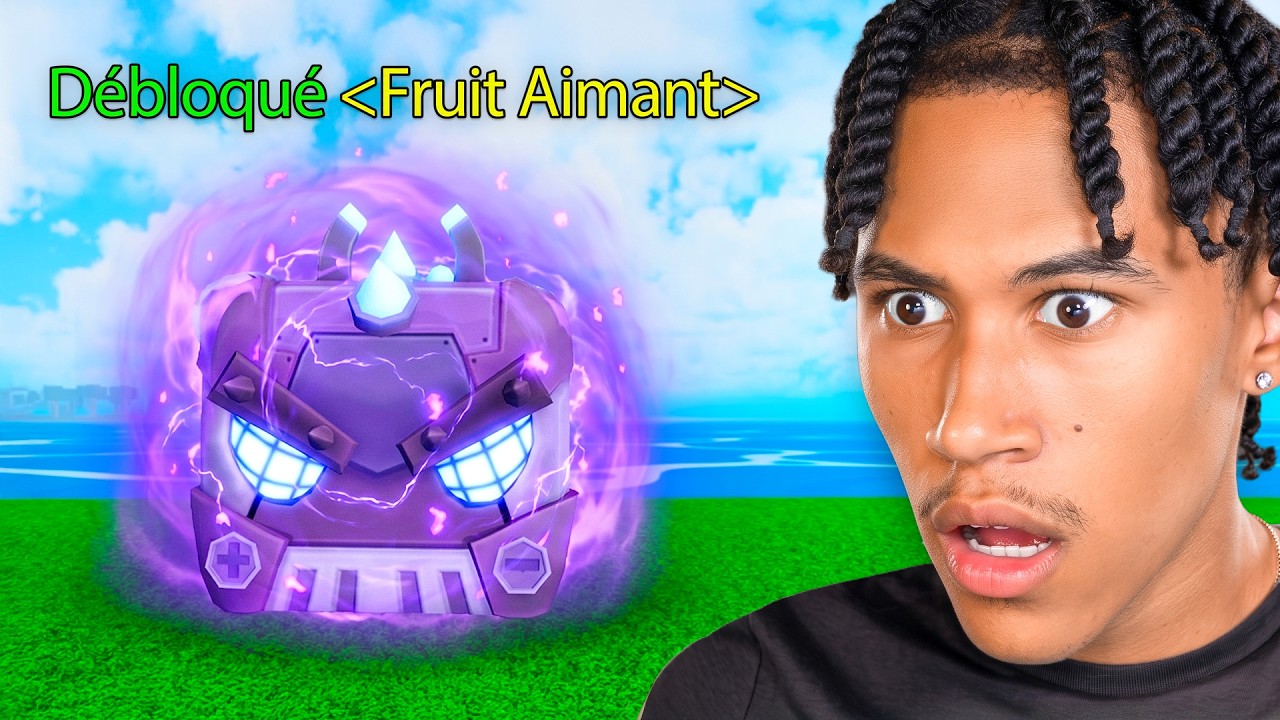 J'ai Amélioré le fruit du magnet au Max ! (Blox Fruits)