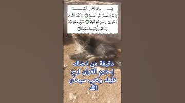 سورة النصر بصوت الشيخ عبد الله بصفر صوت جميل