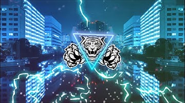 Dối Lừa | Nguyễn Đình Vũ | LOOPING