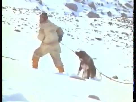 Antartica 1983 super  Film en francais