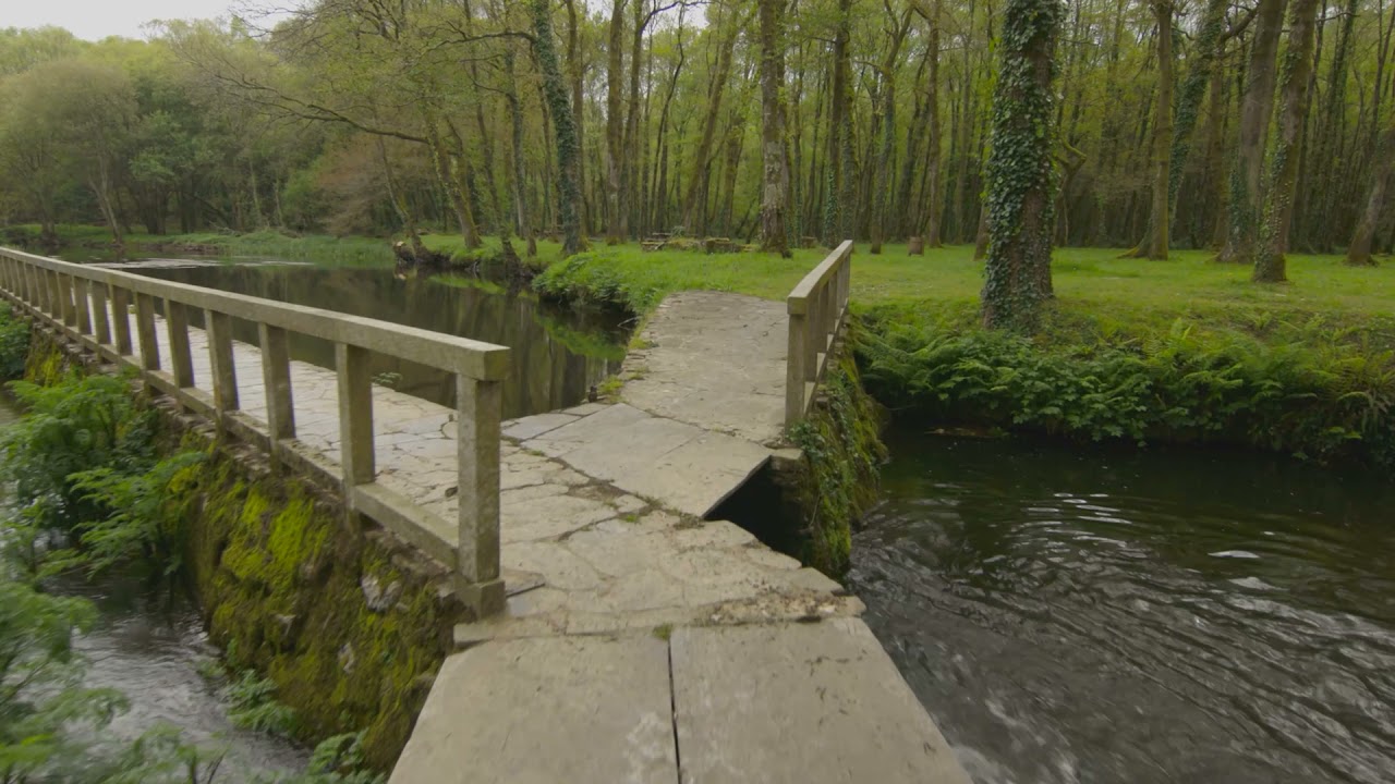 Descubrindo Lugo: Ruta de Aguas de Fonmiñá (A Pastoriza)