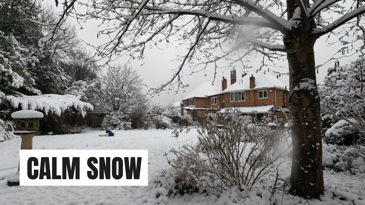 Snow Still My Garden In The Snow (Still) - YouTube