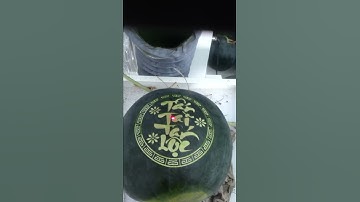 Khắc Dưa Hấu Bằng Laser Giá Rẻ TP HCM