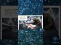 🤯Globalist Death Cult, World War, and False Flags #shorts