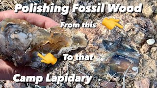 Contour Polishing an Agatized Hubbard Basin Fossil Wood Chunk by Camp Lapidary 116 views 2 months ago 17 minutes