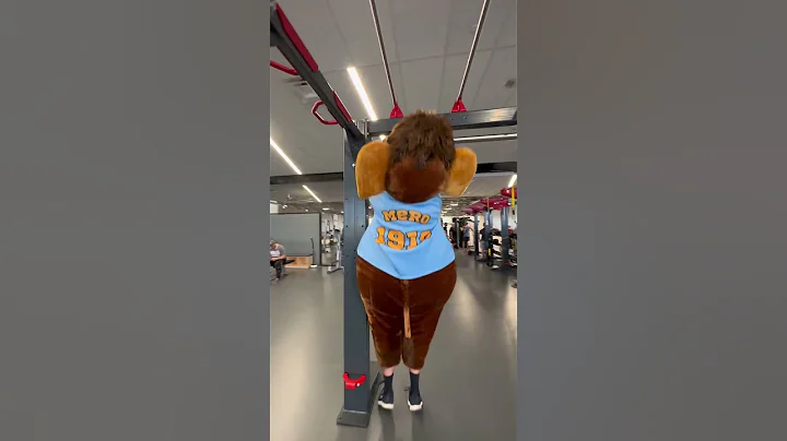Fight off Extinction at the Orem Family Fitness Center - DayDayNews