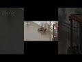 2026.03.03 僕は登れるようになったよ、いじめられそうになってもボディーガードが守ってくれるよ　#がんばれパンチ #punchbabymonkey