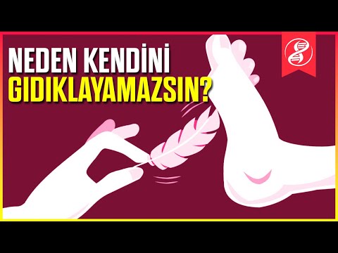 Video: Bir gıdıklama sistemi yasal nedir?