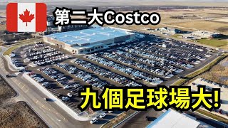 國外物價漲到哭？開箱全🇨🇦第二大Costco，長途卡車司機的一週補給。